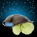 Декоративный светильник Ночник-проектор звездного неба 00018 (10) Черепаха, 30*20*10cm